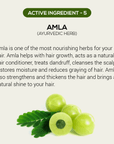 Hair Growth Starter Kit